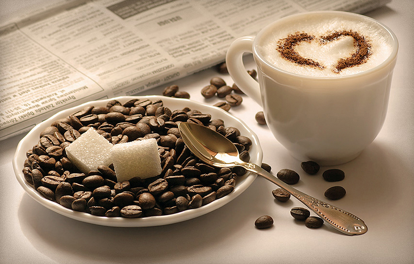 Cacao and Coffea – the Differences and Similarities